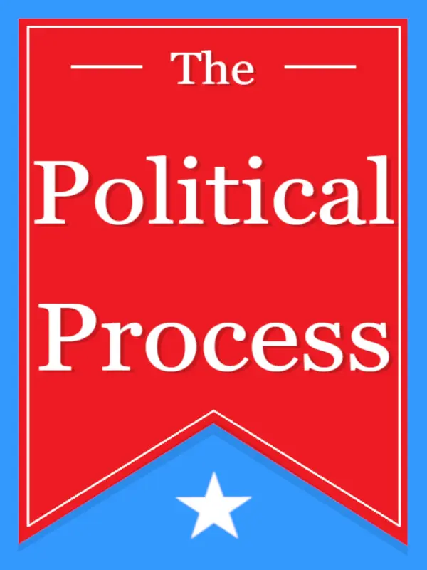 The Political Process