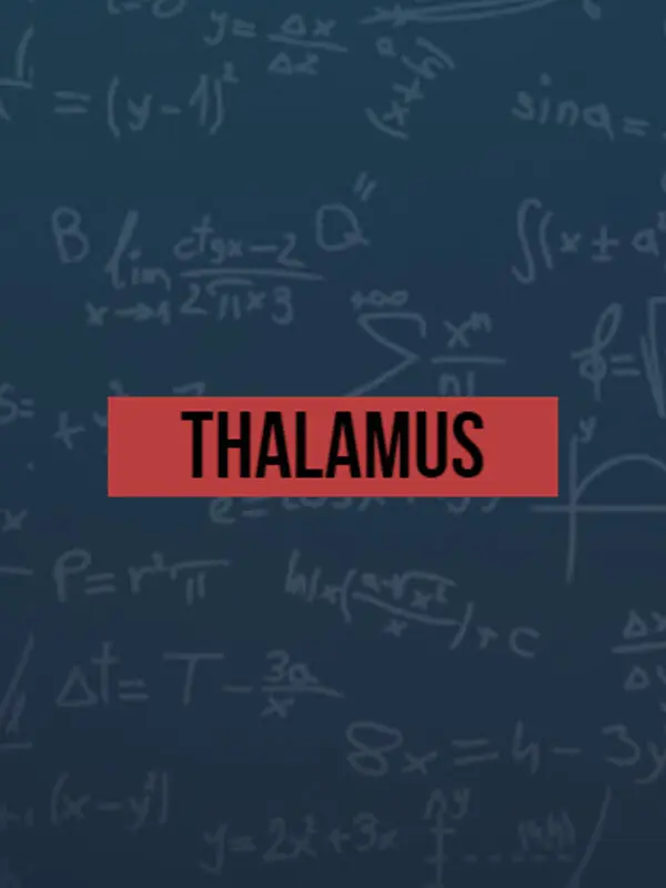 Thalamus