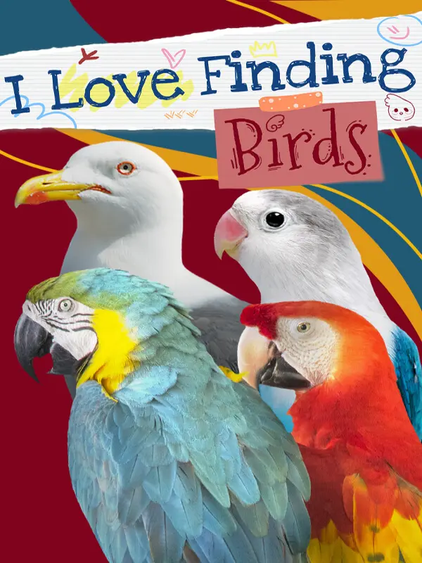 I Love Finding Birds